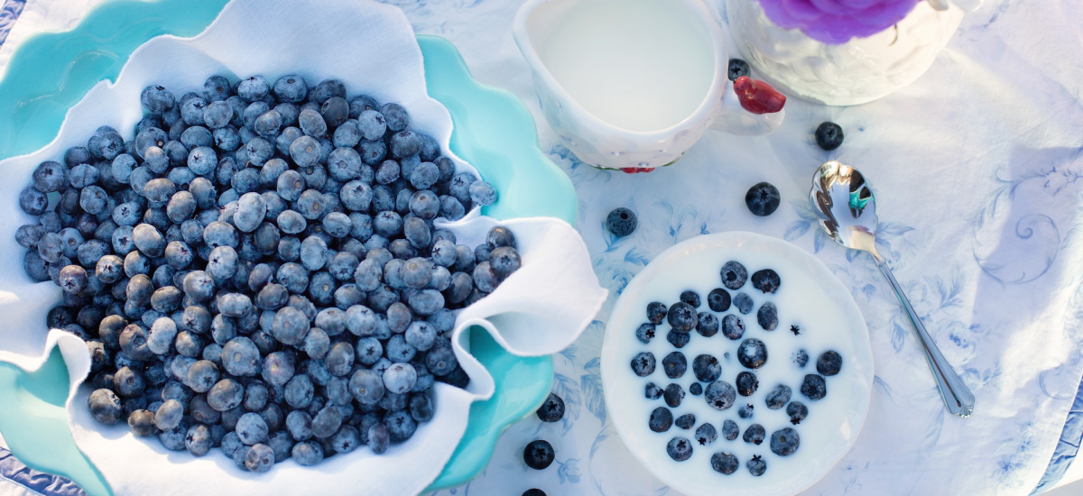 Heidelbeeren-Rezepte