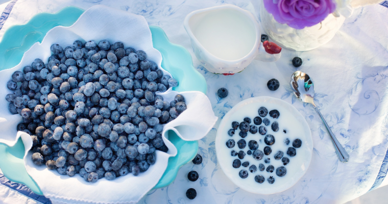 Heidelbeeren beiträge